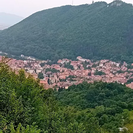 Cosy Hideaway Brasov