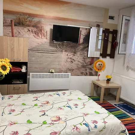 Cosy Hideaway Apartment Brasov