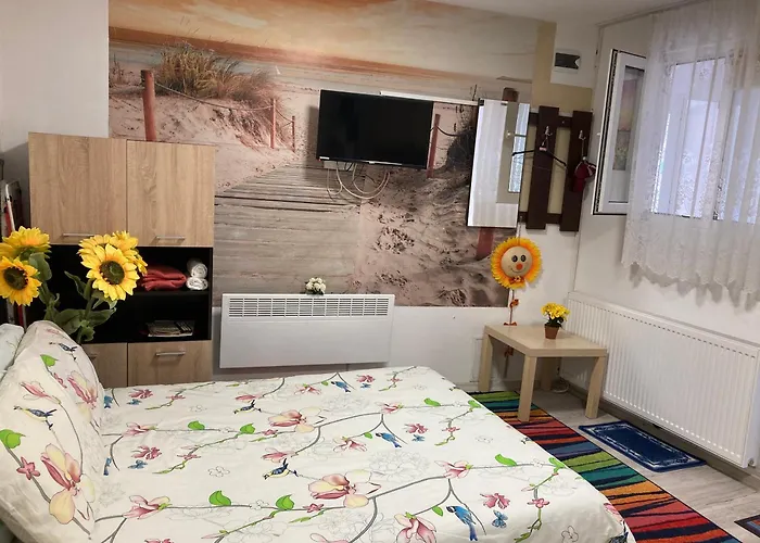 Cosy Hideaway Апартаменты Брашов